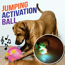 Load image into Gallery viewer, Dotmalls⢠Pet Ball  Endless Entertainment for Your Furry Friend!