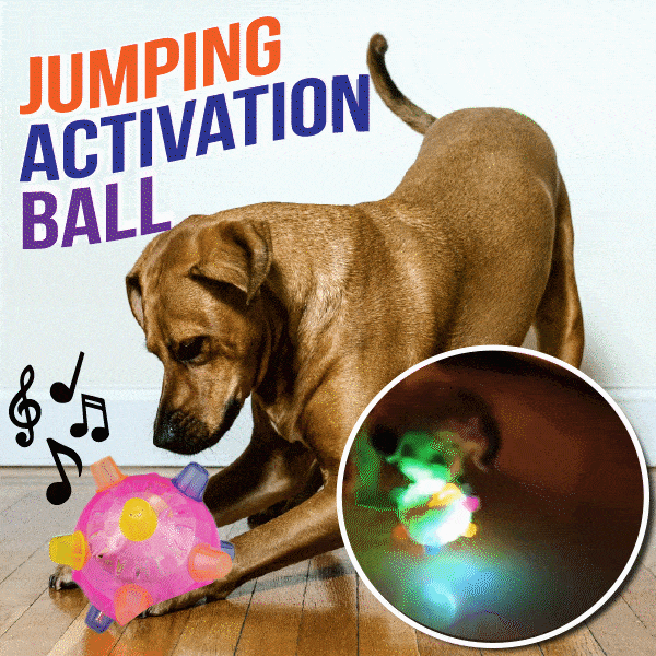 Dotmalls™ Pet Ball  Endless Entertainment for Your Furry Friend!