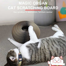 Load image into Gallery viewer, Dotmalls Magic Organ Cat Scratch Board.
