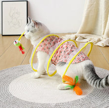 Load image into Gallery viewer, Cat Coil Spring Toy For Indoor Cats
