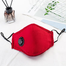 Load image into Gallery viewer, Reusable Face Mask For Excellent Breathability &amp; Extra Comfort

